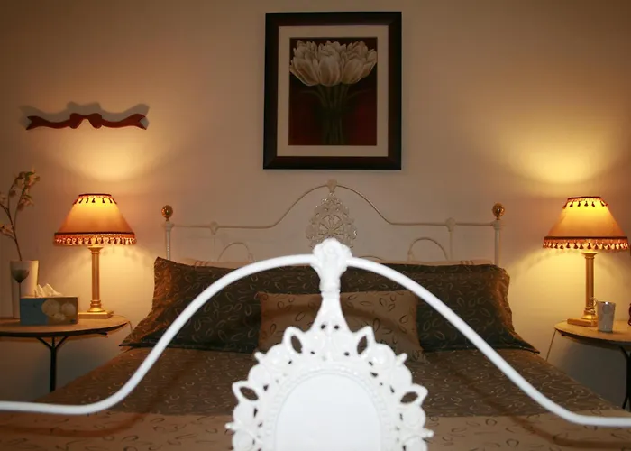 Amy\'S House Bed & Breakfast